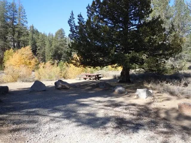 Campsite 13