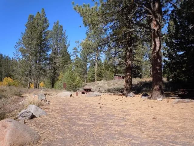 Campsite 14