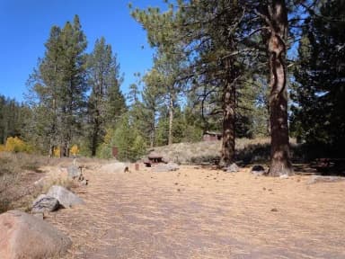 Site 014 at Lower Little Truckee