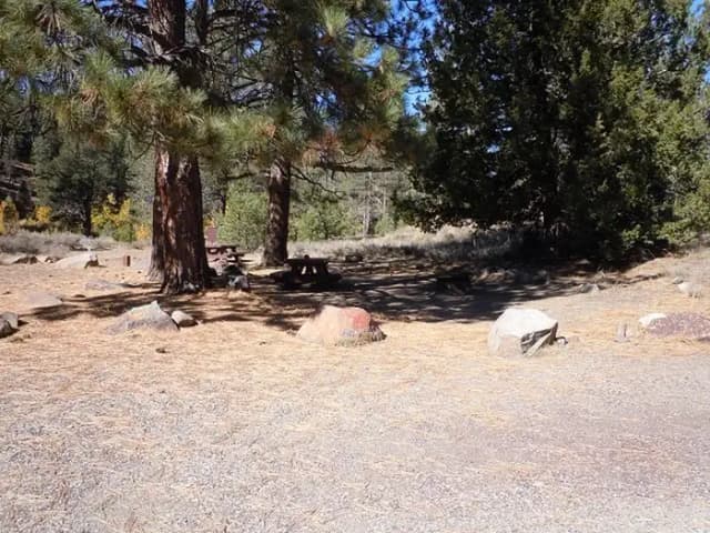 Site 015 at Lower Little Truckee