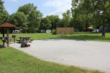 Site 44