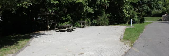 Site 49