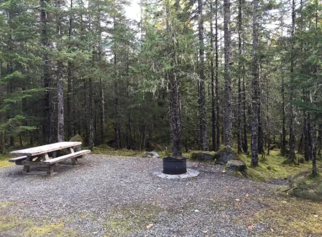 Site 064 at Mendenhall Campground