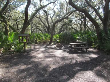 campsite with picnic table, food cage, and fire ring under live oak trees