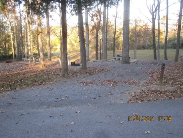 Site 1