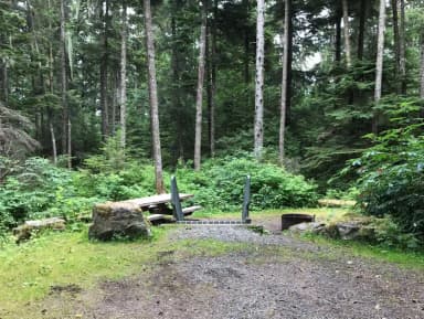 STANDARD NONELECTRIC · Site 007 at Auk Village Campground