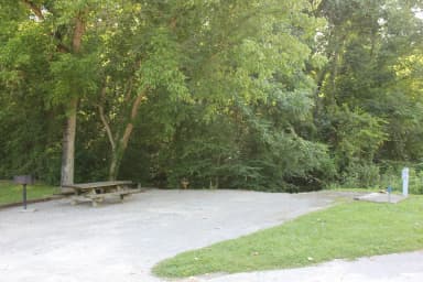 Site 54