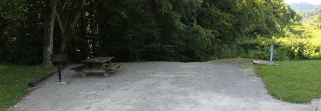 Site 54