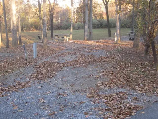 Site 2