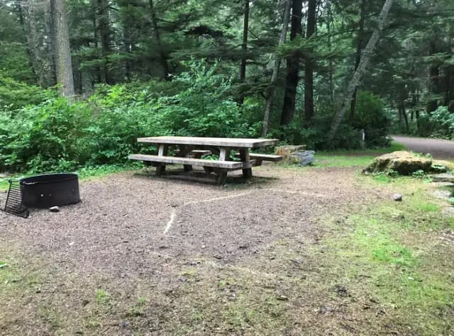 STANDARD NONELECTRIC · Site 008 at Auk Village Campground