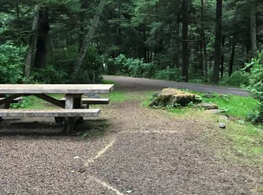 STANDARD NONELECTRIC · Site 008 at Auk Village Campground