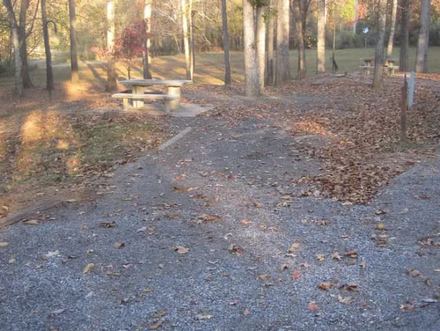 Site 3