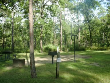 CAMEL LAKE CAMPGROUND SITE 3