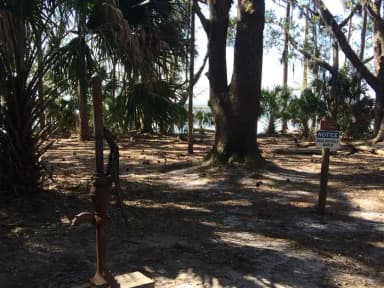 campsite along water with palm trees and water pump