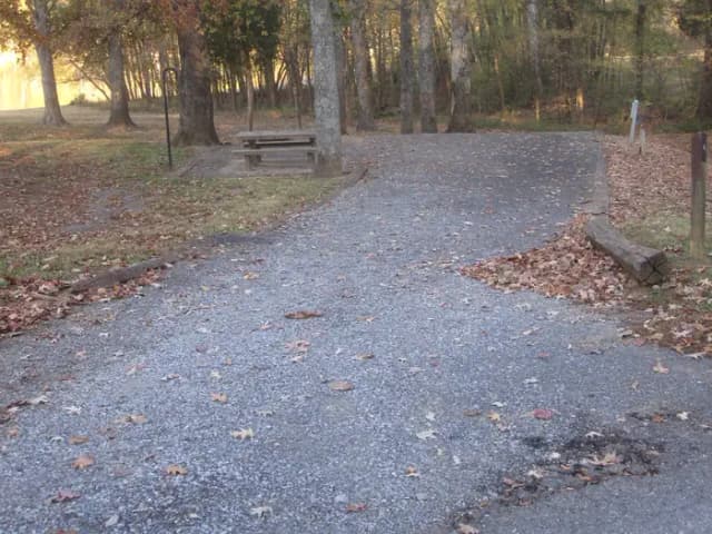 Site 4
