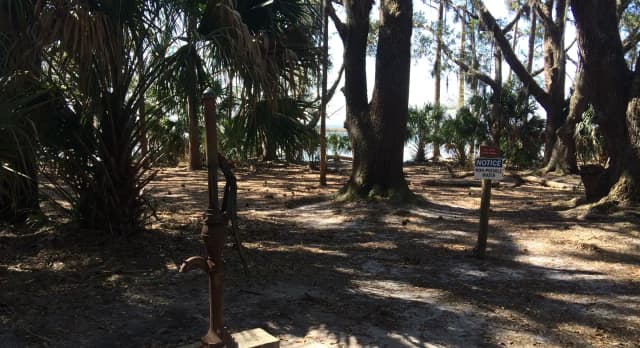 campsite along water with palm trees and water pump