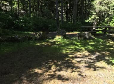 STANDARD NONELECTRIC · Site 011 at Auk Village Campground