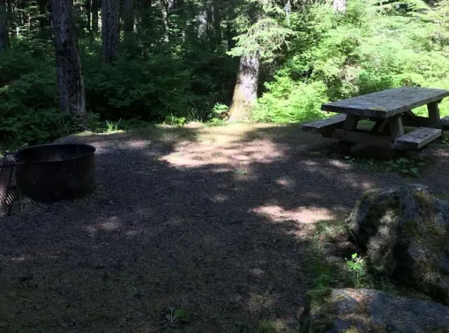 STANDARD NONELECTRIC · Site 011 at Auk Village Campground