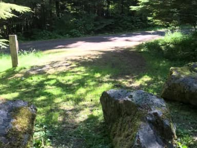 STANDARD NONELECTRIC · Site 011 at Auk Village Campground