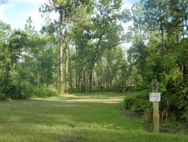 CAMEL LAKE CAMPGROUND SITE 5