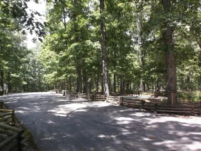 Campsite 25