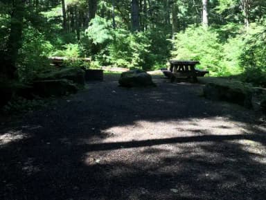 STANDARD NONELECTRIC · Site 009 at Auk Village Campground