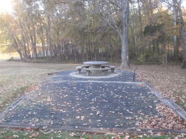 Site 6