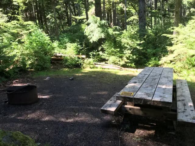 STANDARD NONELECTRIC · Site 009 at Auk Village Campground