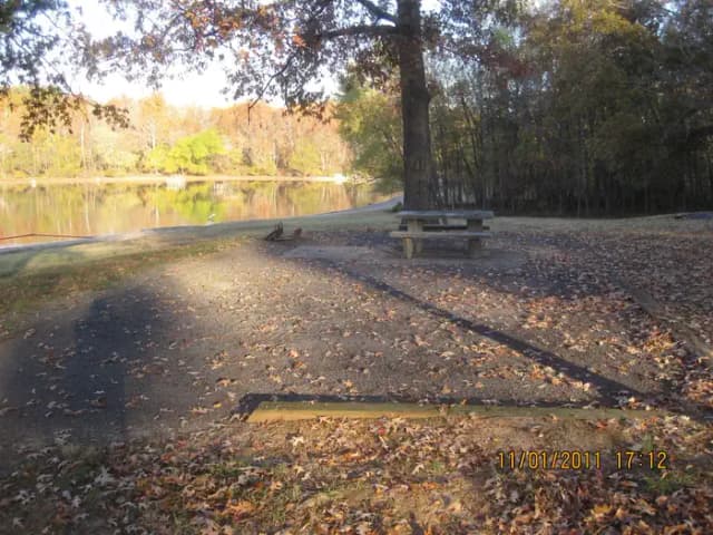 Site 7
