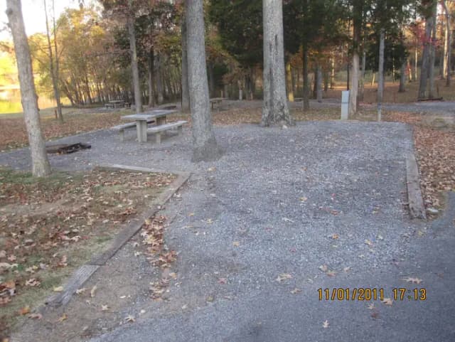 Site 8
