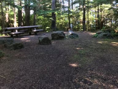 STANDARD NONELECTRIC · Site 010 at Auk Village Campground