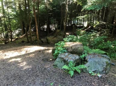 STANDARD NONELECTRIC · Site 010 at Auk Village Campground