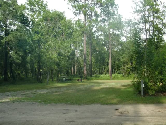 CAMEL LAKE CAMPGROUND SITE 9