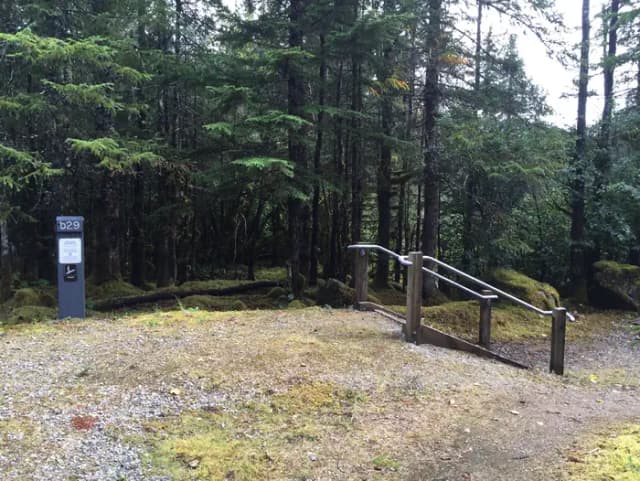 Site 029 at Mendenhall Campground