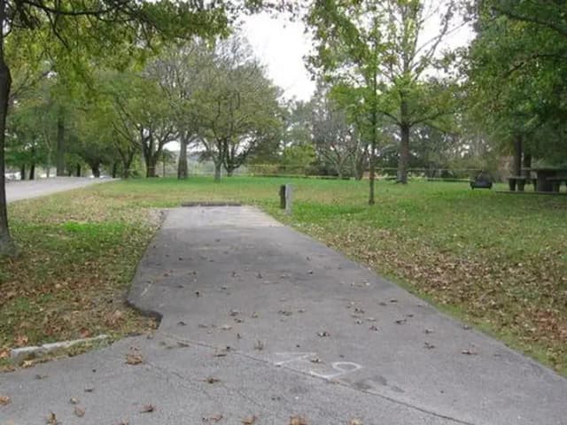 Site 49