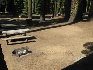 Site 186, partial shade