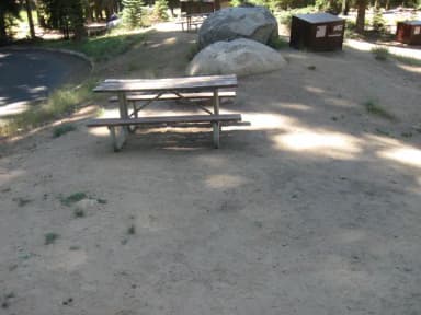 Site 182, sunny