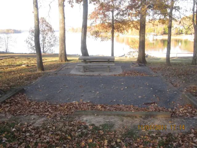 Site 11