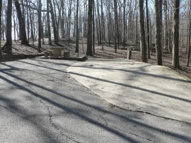 Front View of Site 1