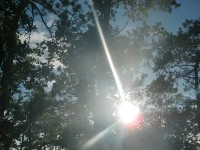 CAMEL LAKE CAMPGROUND