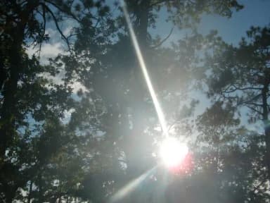 CAMEL LAKE CAMPGROUND