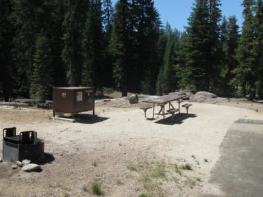 site 172, sunny