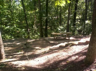 Picnic table, path down to dirt site.