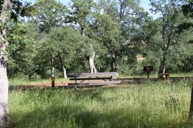Chamise Sites 126-144 · Site 139 at Tuttletown Recreation Area