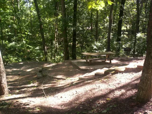 Loop SAWN · Site 01 at Sawnee