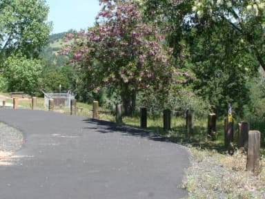 Ironhorse 45-59, 80-89 · Site 050 at Glory Hole Recreation Area