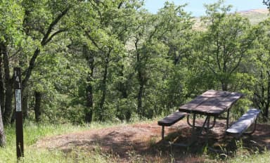 Chamise Sites 126-144 · Site 141 at Tuttletown Recreation Area