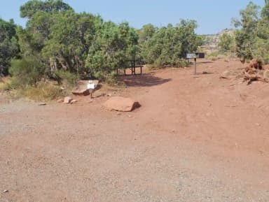 Loop B Site 51 featuring a picnic table and grill area nestled among juniper trees.