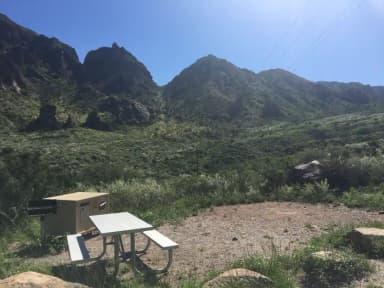 Campsite 41
