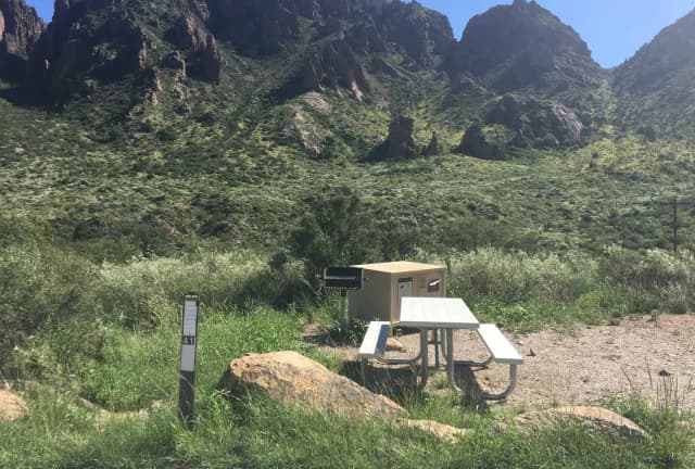 Campsite 41